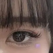 いるかの画像