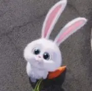 piiの画像
