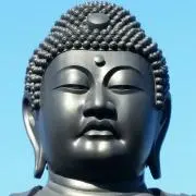 ざんこの画像