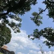 ＥＭさん＊プロフ必読の画像