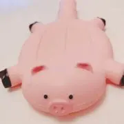 shocoの画像