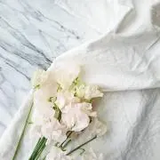 まな☆の画像