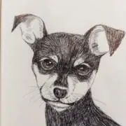ナオハナの画像