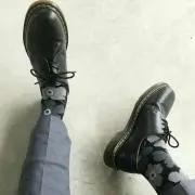 アルパカの画像