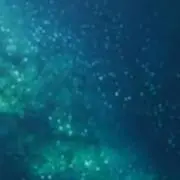 Image of ＊即決優先、順次発送します＊
