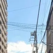 イカそうめんの画像