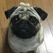 キーリ