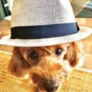 kzzk.9の画像