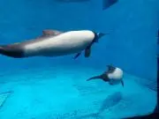 ミチの画像