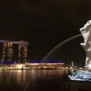 TOSHIの画像