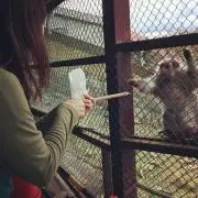 いくの画像