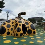 ゆずの画像