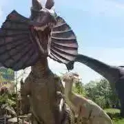 ピー助の画像