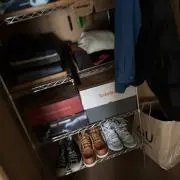 トヨ太郎