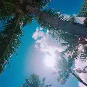 chi__の画像