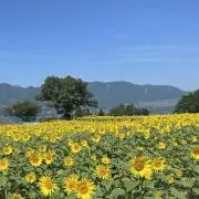 kamizuki8909の画像