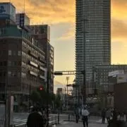 ラゲの画像