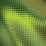 柊の画像