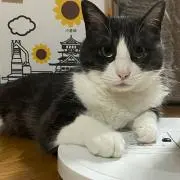 ともちん☆