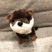かわうその画像