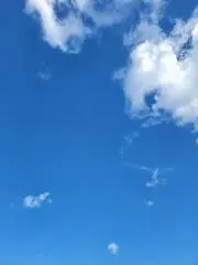 CHIMの画像
