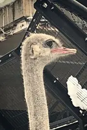 べりたろう☆プロフ必読☆の画像
