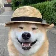 mまろの画像