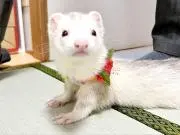 なかむぅ