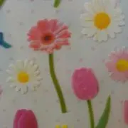 ぽこ2017の画像