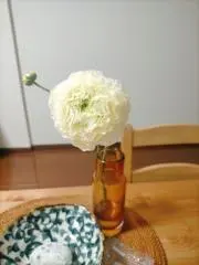 みょんの画像