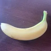 h.h.tの画像