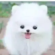 keiの画像