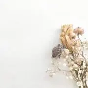 sakurasakuの画像