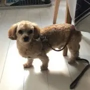 《プロフ必読✩.*˚》なつるな♡の画像