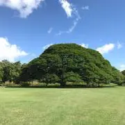 ナオ