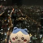 niiの画像