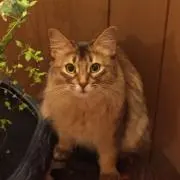 ひと