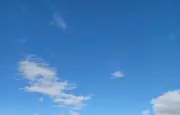 COLAの画像
