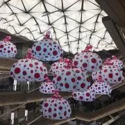 はなこ