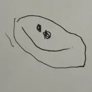 tomoの画像