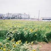 もの画像