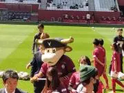 tasiの画像