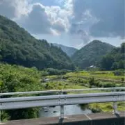 お客様1番の安心即日発送　のキグナスの画像
