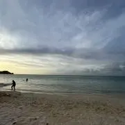 Rの画像