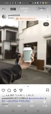 たぬの画像