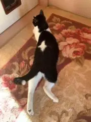マサタマ商会の画像
