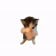 ymd