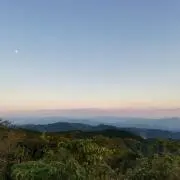popoの画像