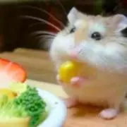 プー