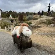airiの画像